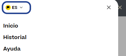 lang_es.png